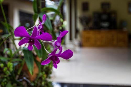 טגלאלאנג Ubud Tri Upasedana House 2 מראה חיצוני תמונה