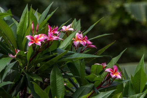 מלון טגלאלאנג Ubud Tri Upasedana House 2 מראה חיצוני תמונה